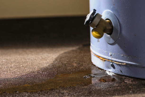 Local water damage restoration in Conestee, SC