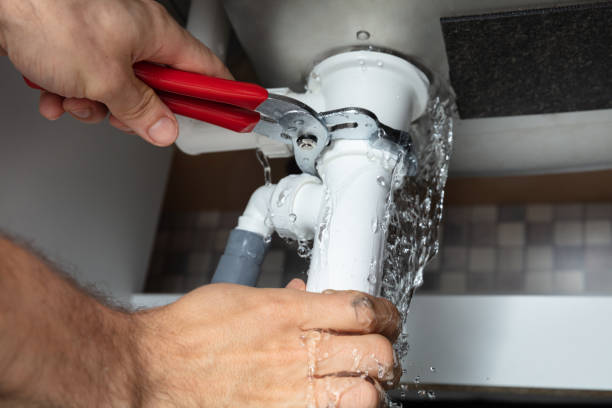 Best Professional water damage repair  in Conestee, SC