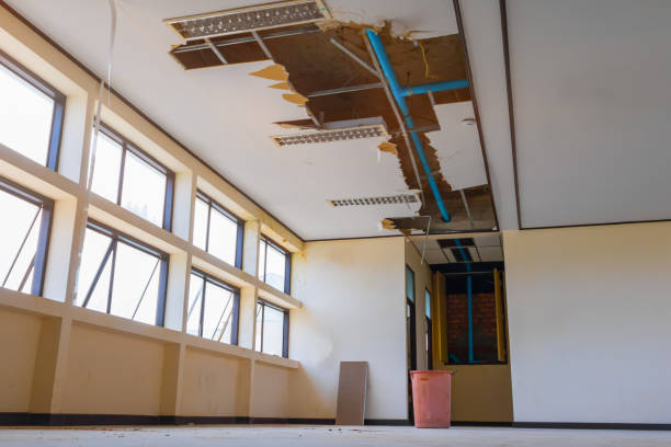 Best Water damage cleanup near me  in Conestee, SC
