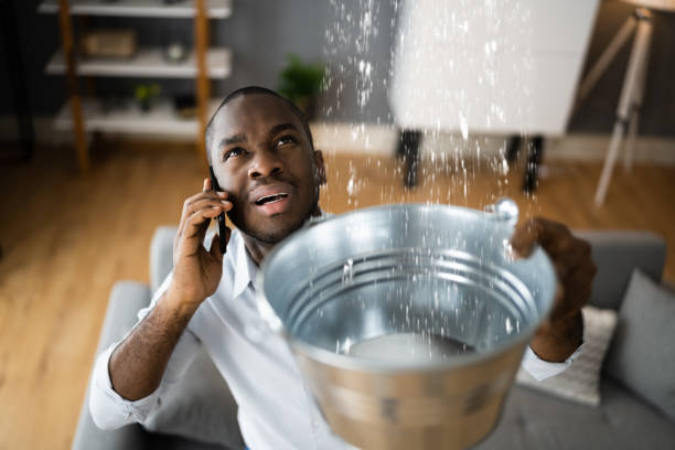 Best Water damage cleanup near me  in Conestee, SC