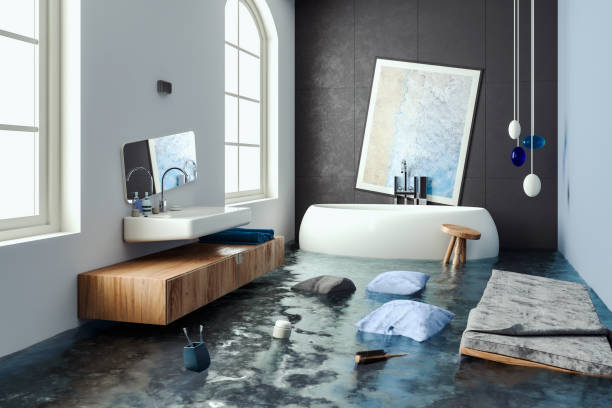 Best Sewage cleanup and water damage restoration  in Conestee, SC
