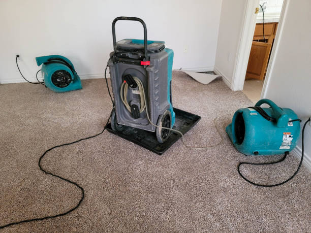 Best Residential water damage restoration  in Conestee, SC