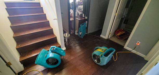 Reliable Conestee, SC Water damage restoration Solutions
