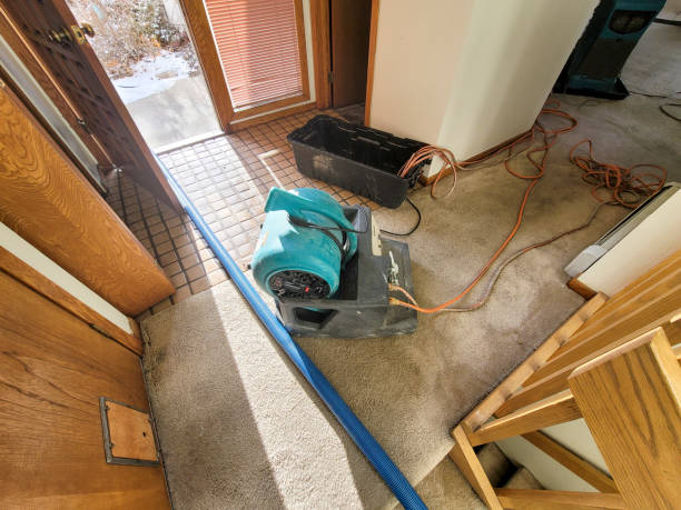Best Water damage restoration near me  in Conestee, SC