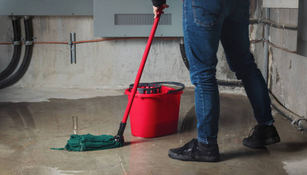 Best 24-hour water damage restoration  in Conestee, SC