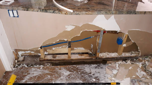 Best Flooded house restoration  in Conestee, SC