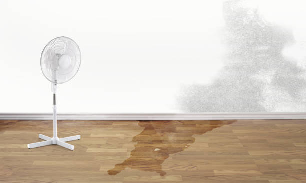 Best Fire Damage Restoration  in Conestee, SC