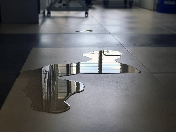 Best 24/7 water damage repair  in Conestee, SC
