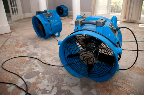 Best Water damage contractors near me  in Conestee, SC