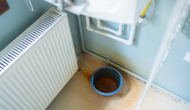 Best Carpet water damage restoration  in Conestee, SC