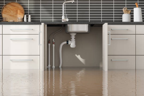 Best Ceiling water damage repair  in Conestee, SC